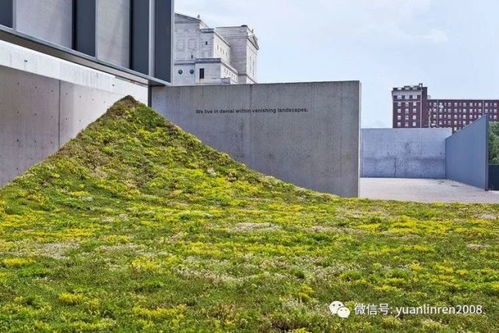 美國圣路易斯當代藝術(shù)博物館green varnish景觀藝術(shù)裝置